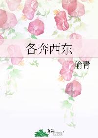 w10run.exe位置——专业问答平台